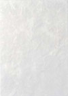 Griffe Azzurro |25x35